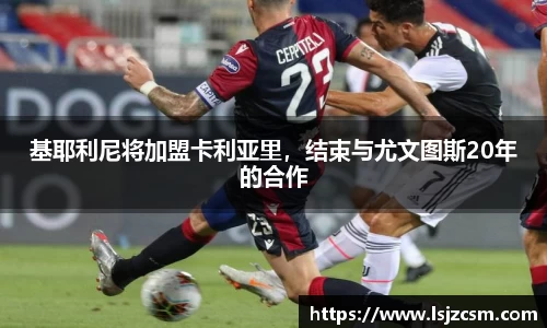 优游国际app