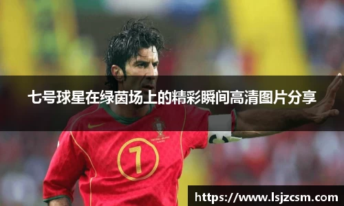 七号球星在绿茵场上的精彩瞬间高清图片分享