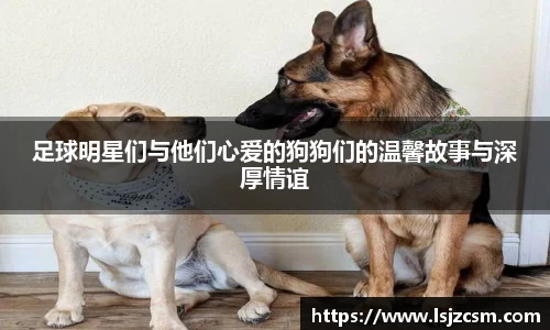 足球明星们与他们心爱的狗狗们的温馨故事与深厚情谊