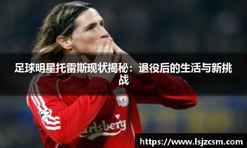 足球明星托雷斯现状揭秘：退役后的生活与新挑战